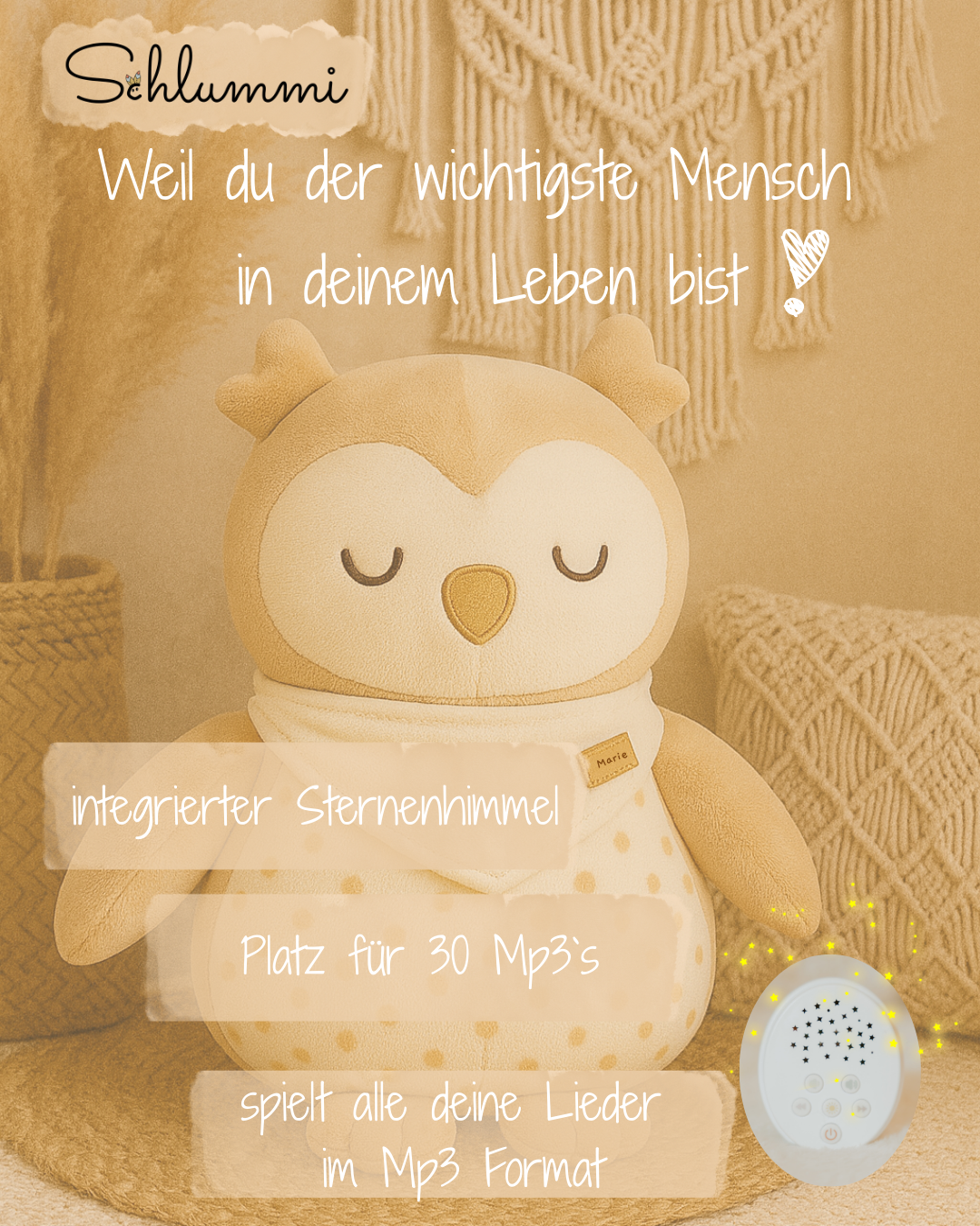 Vorbestellung Schlummi Eule